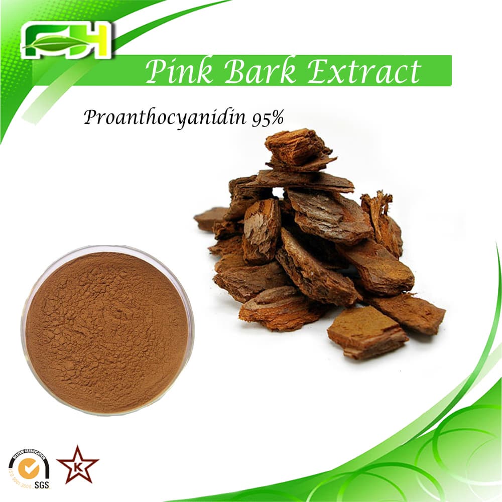 Proanthocyanidin_OPC_95_ Pine bark extract